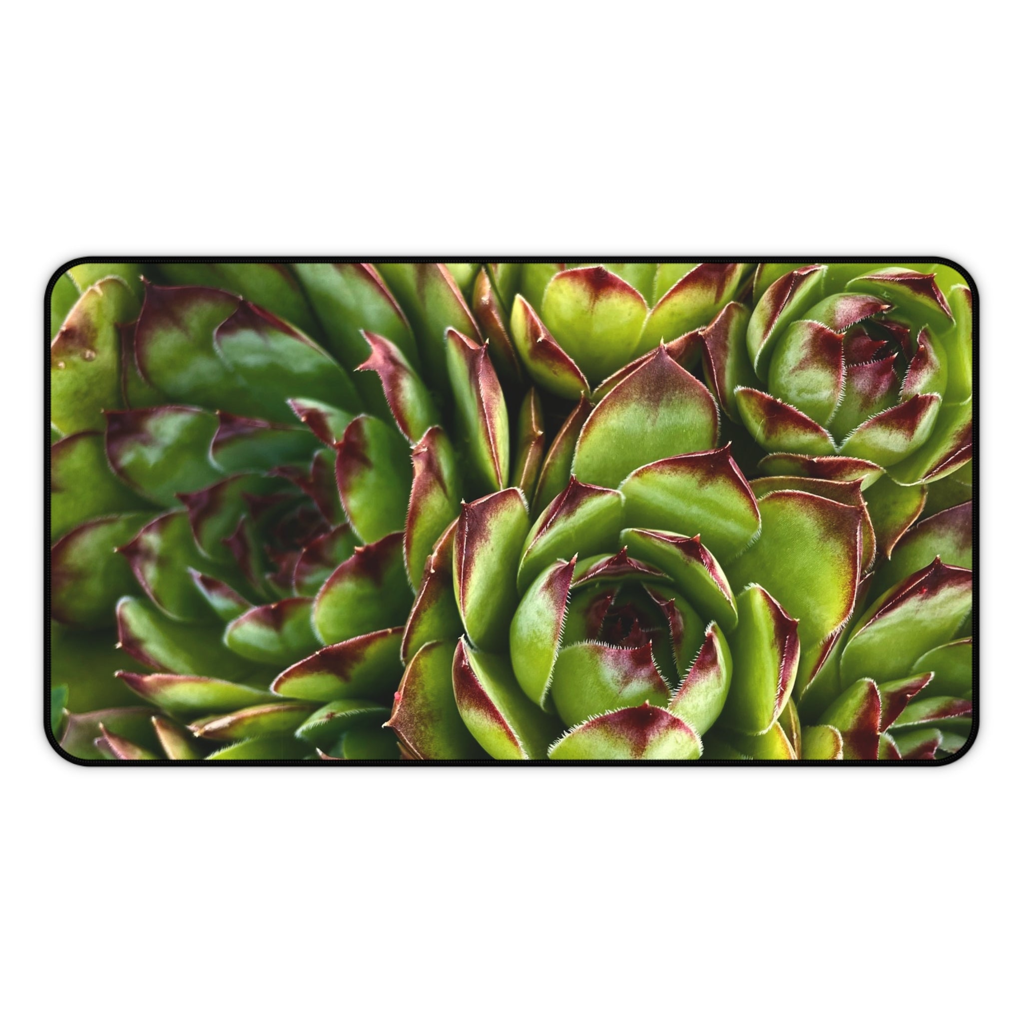 Succulent Garden Desk Mat