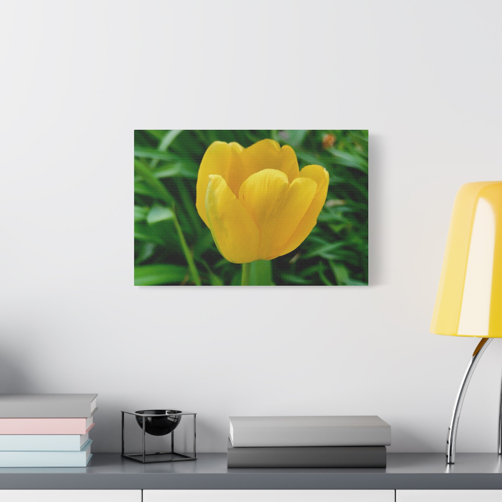 Yellow Tulip Canvas Print