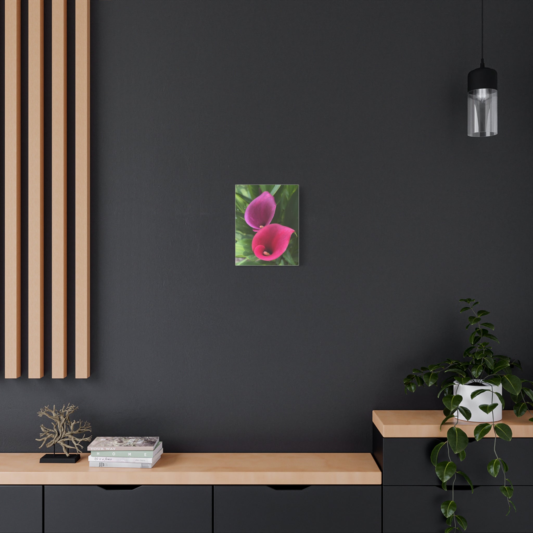 Two Pink Calla Lilies Canvas Print