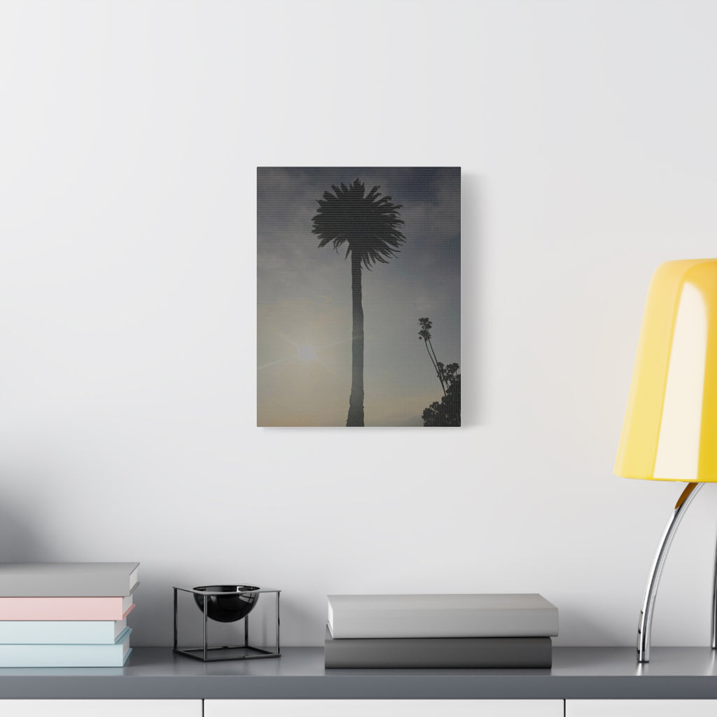 Palm Tree Canvas Print