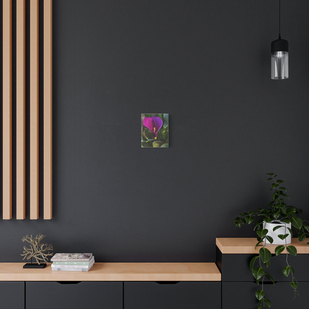 Purple Calla Lily Canvas Print