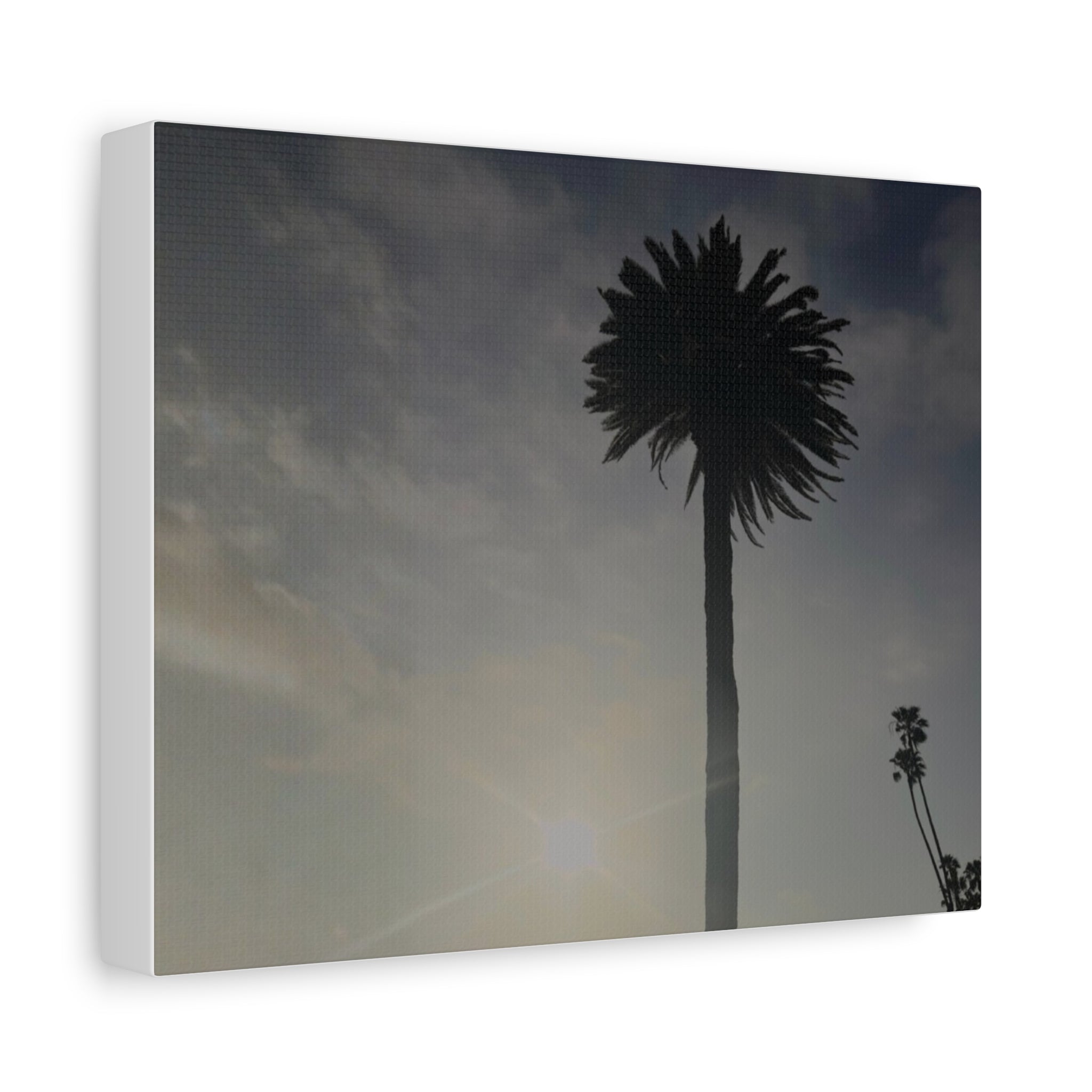 Palm Tree Canvas Print