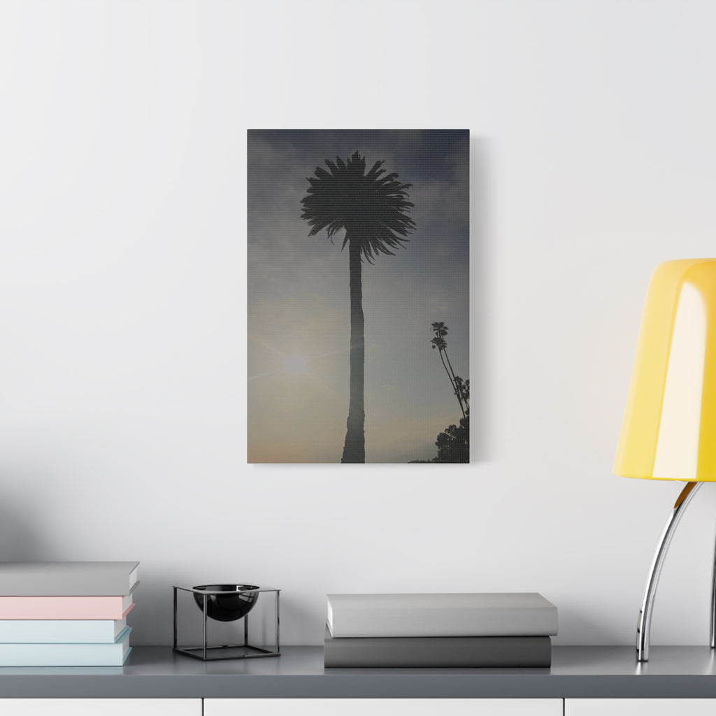 Palm Tree Canvas Print