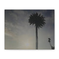 Palm Tree Canvas Print