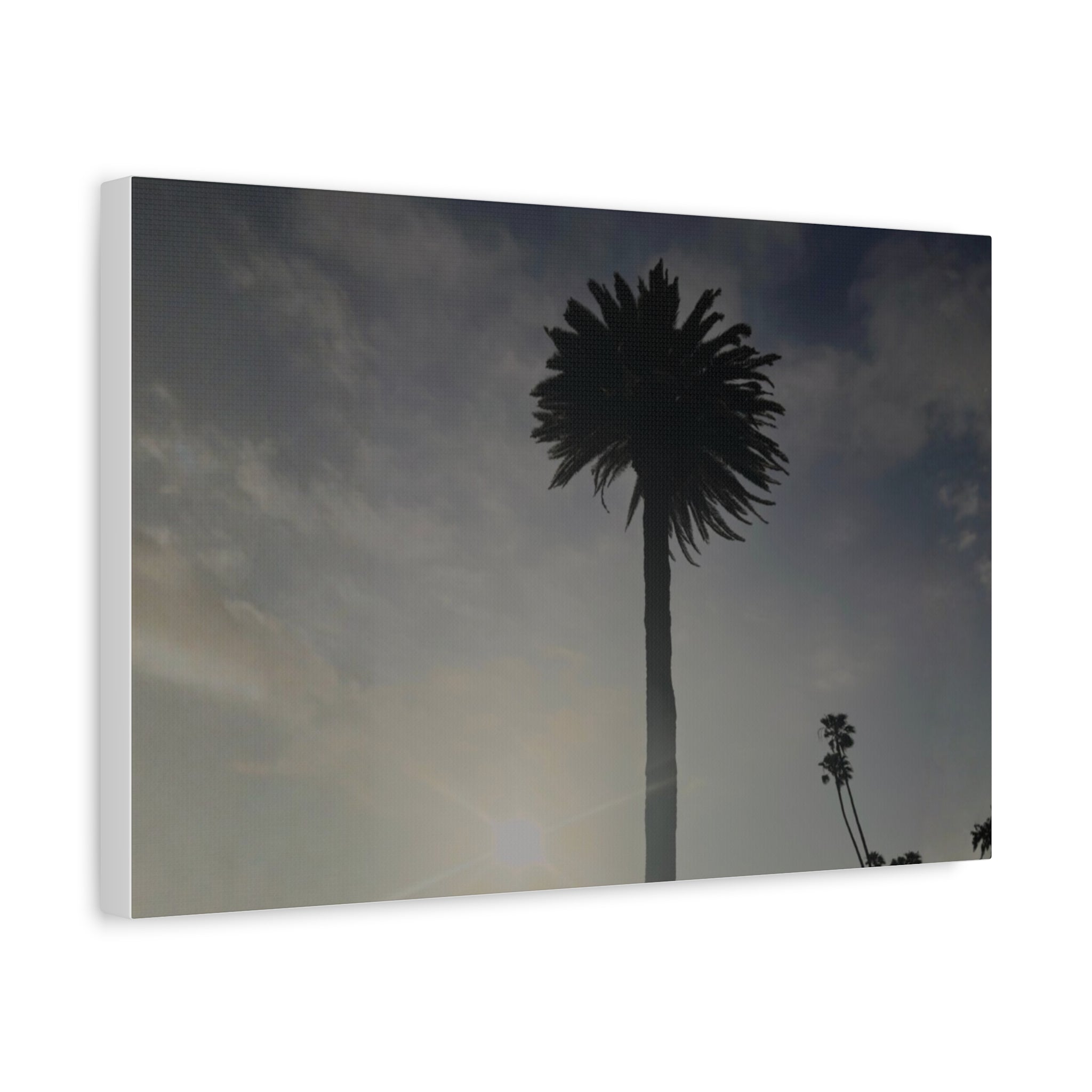 Palm Tree Canvas Print