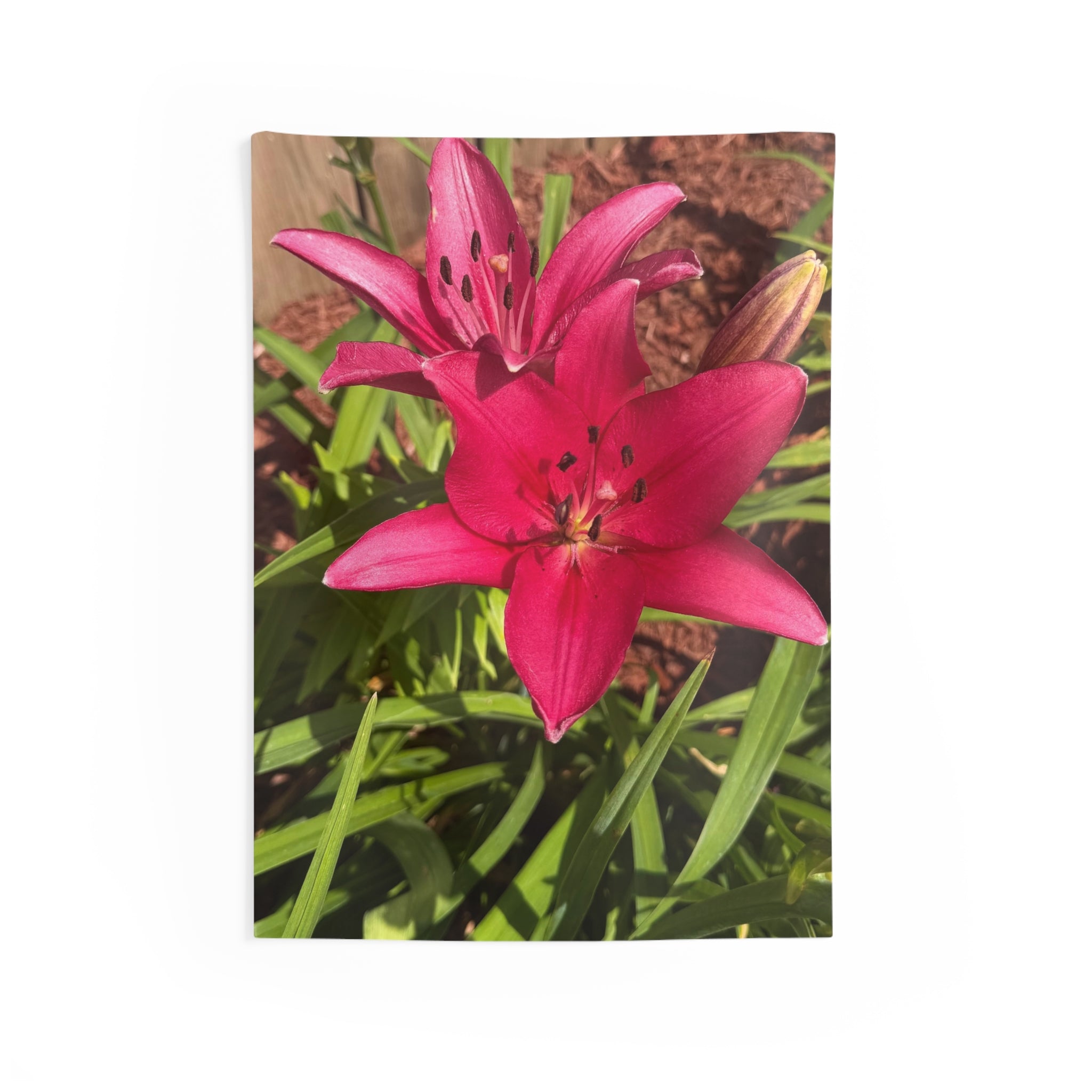 Pink Asiatic Lily Wall Tapestry