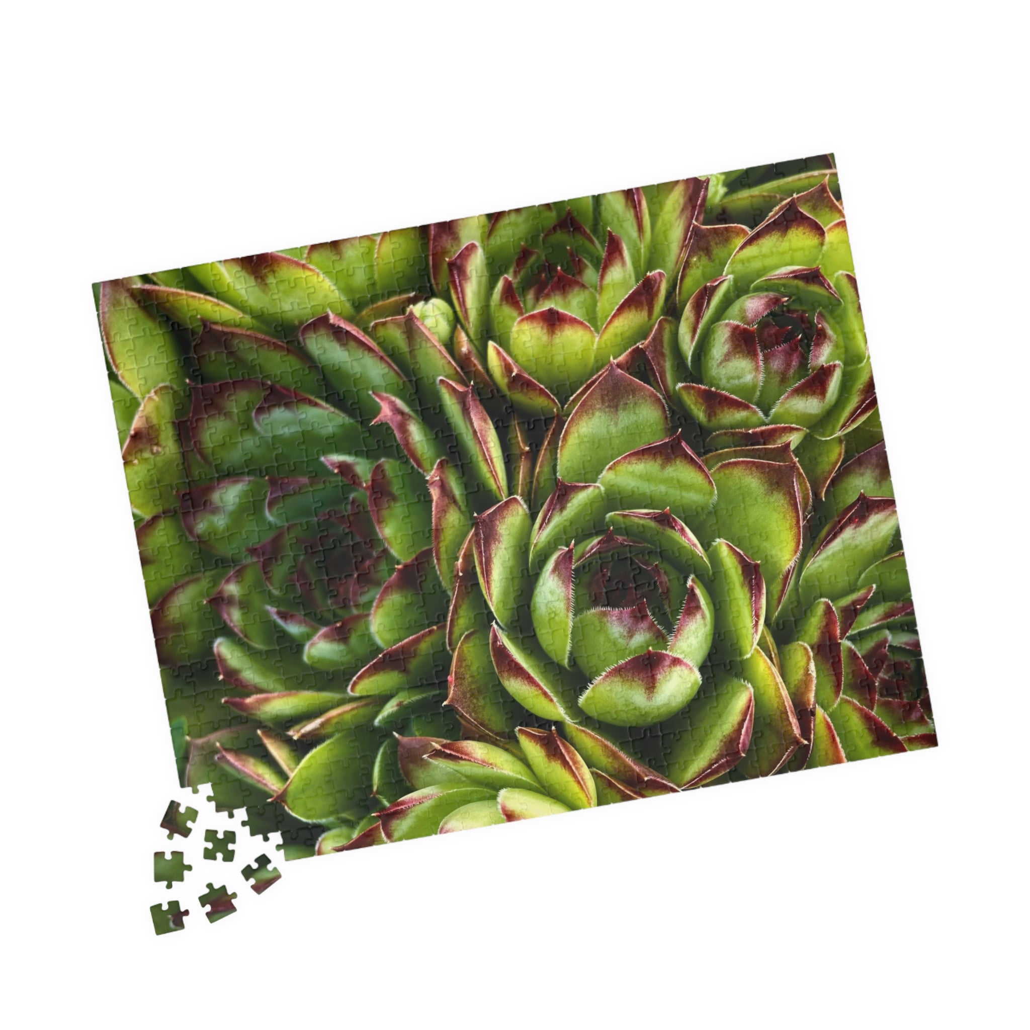 Succulent Garden Jigsaw Puzzle