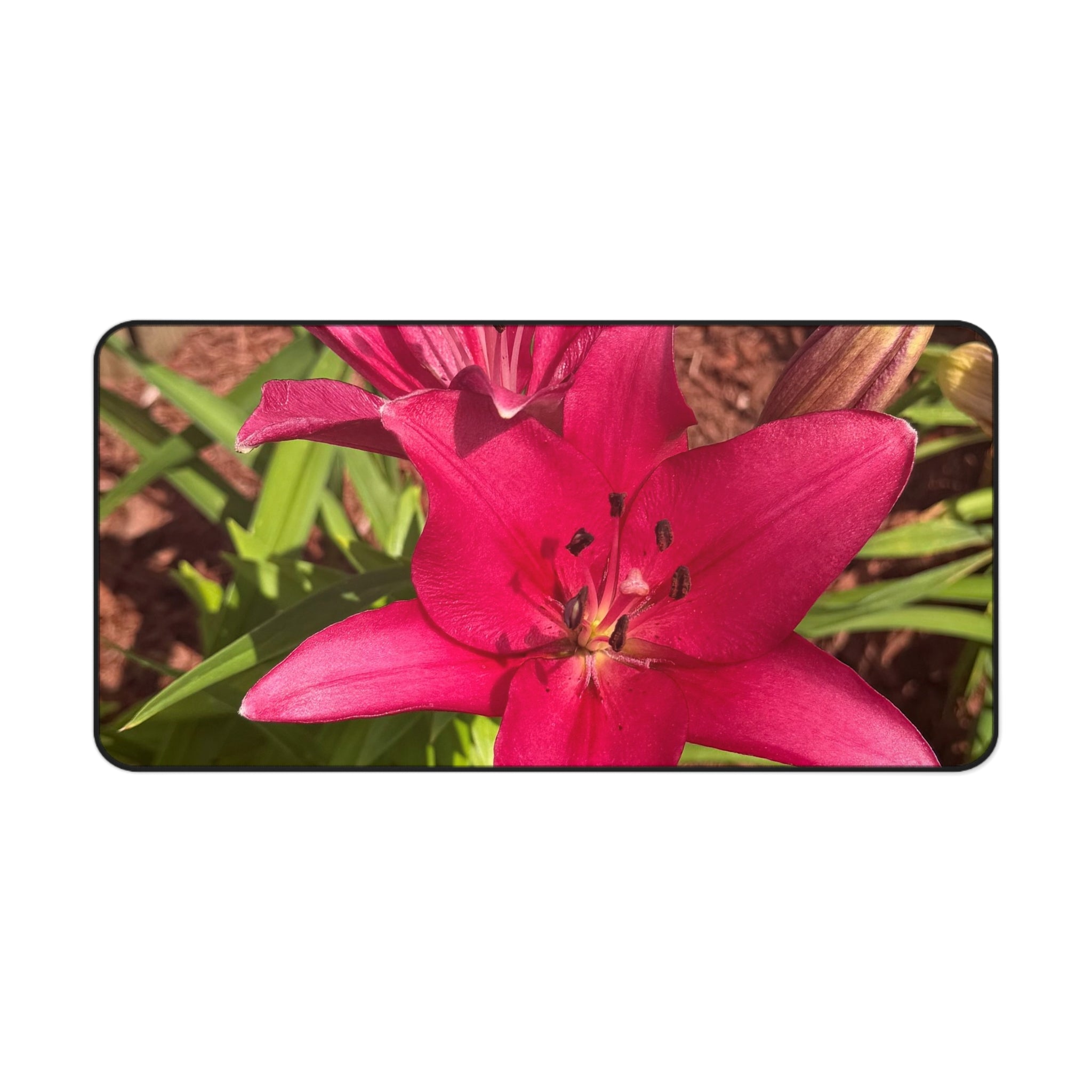 Pink Asiatic Lily Desk Mat