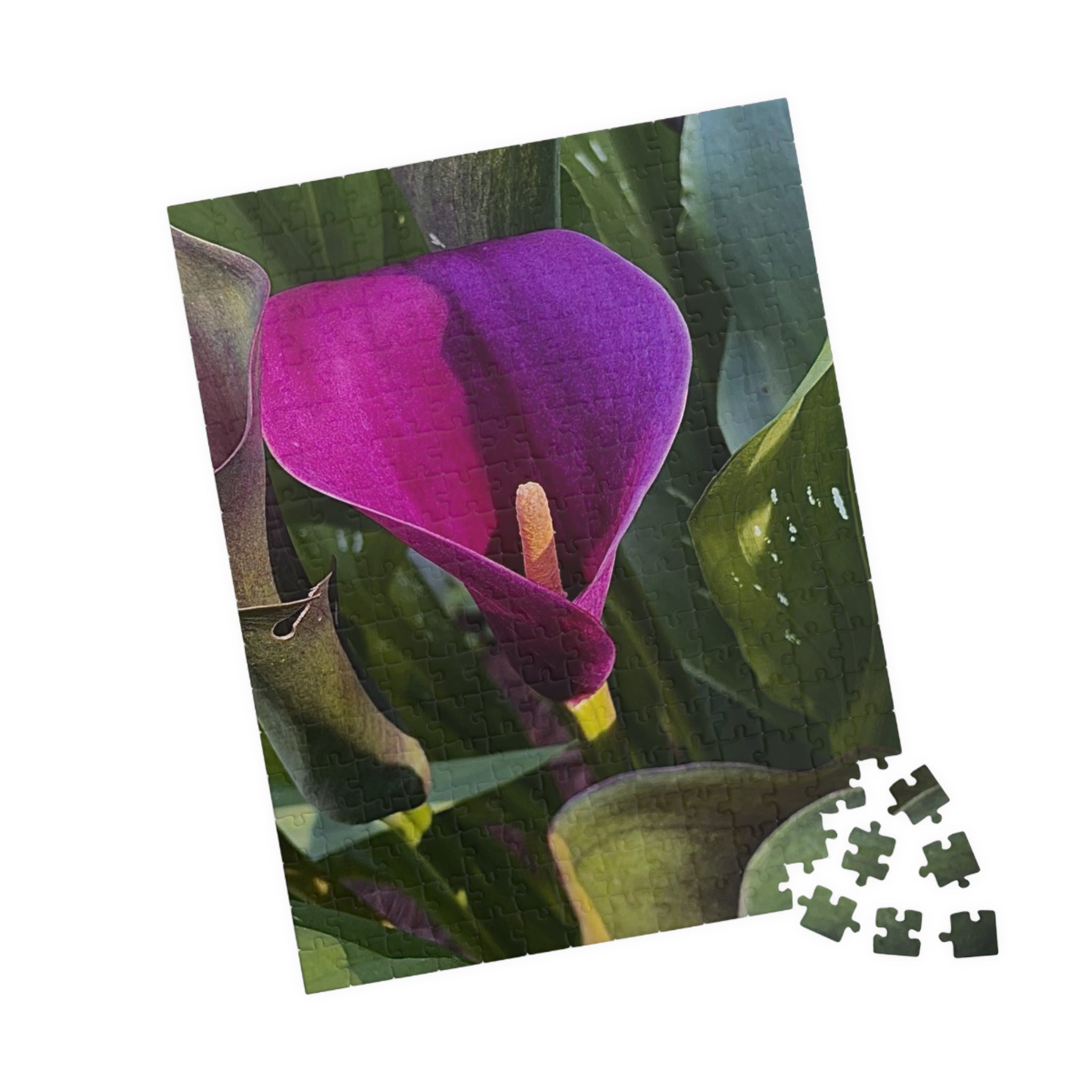 Purple Calla Lily Jigsaw Puzzle