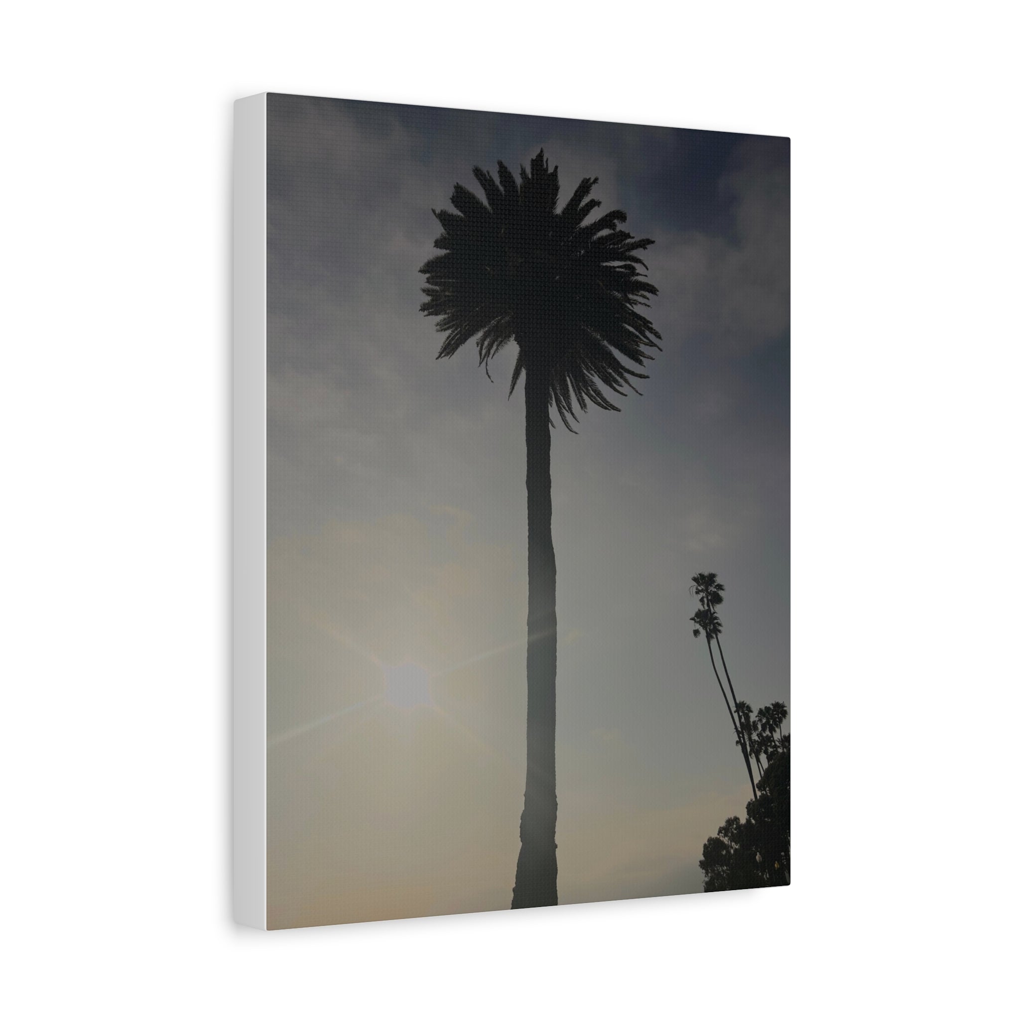 Palm Tree Canvas Print