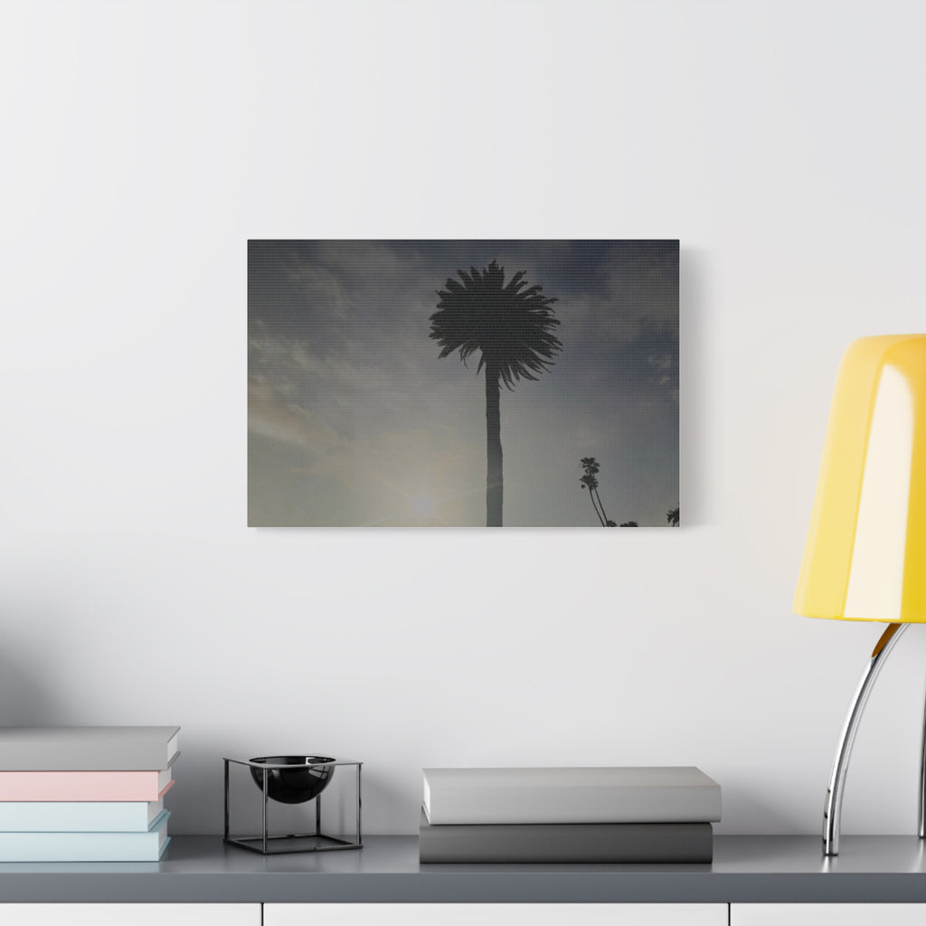 Palm Tree Canvas Print
