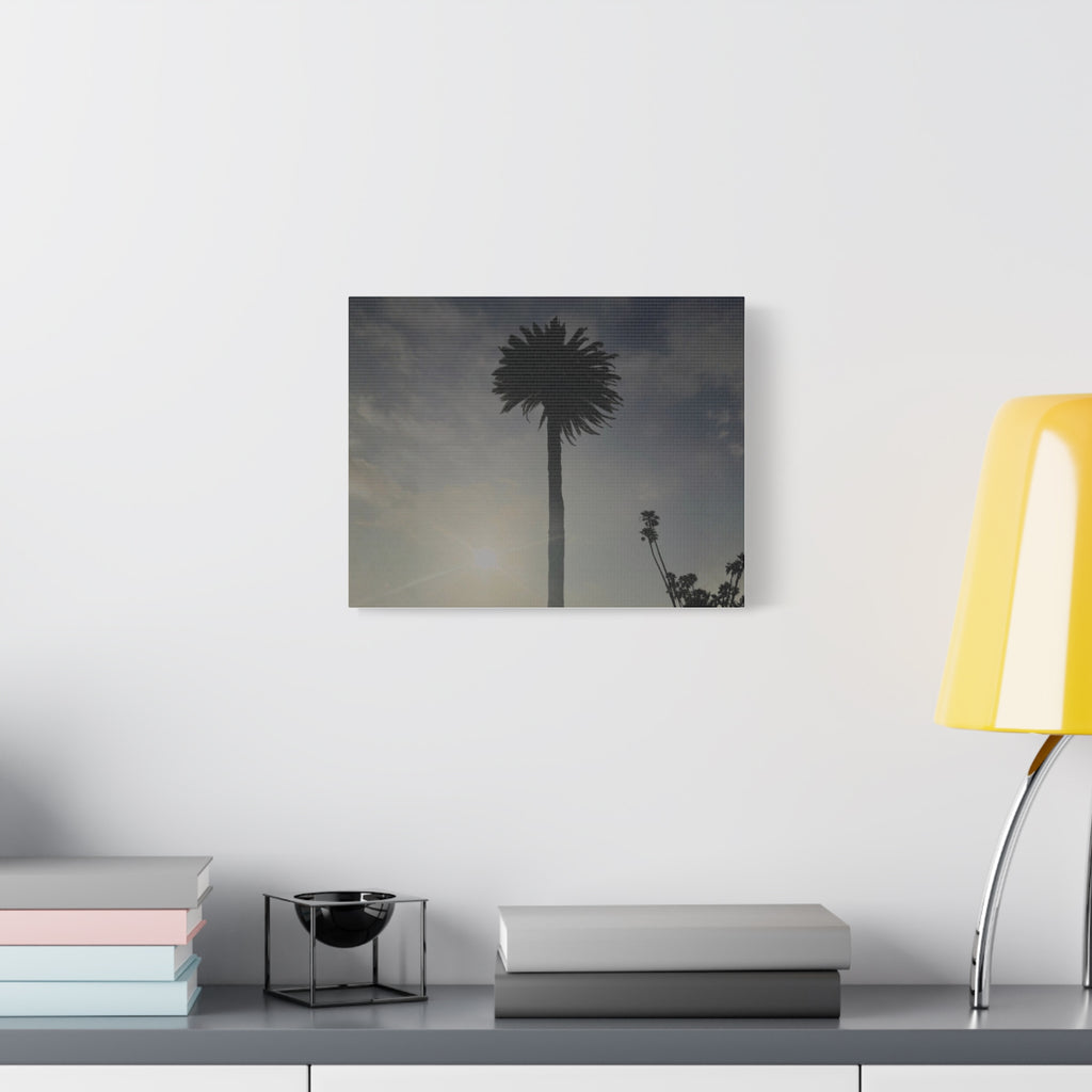 Palm Tree Canvas Print