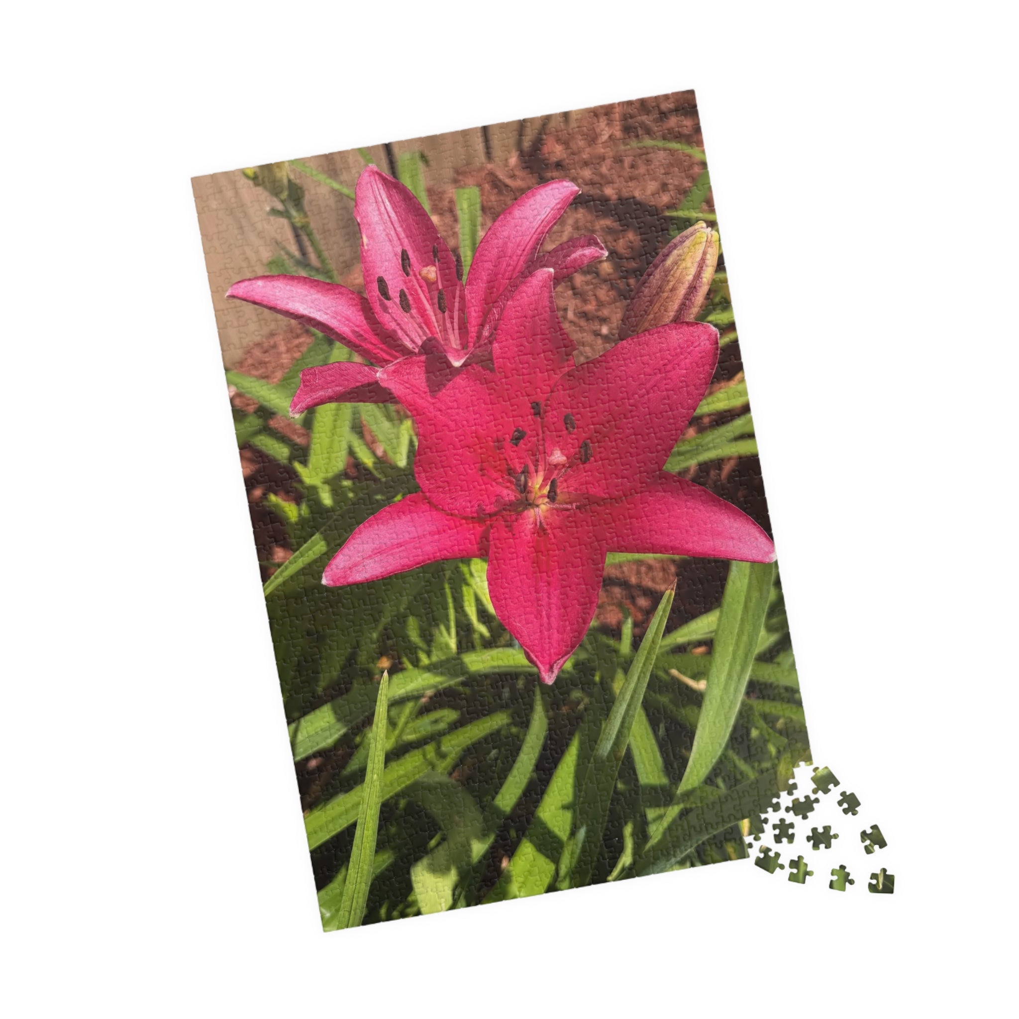 Pink Asiatic Lily Jigsaw Puzzle