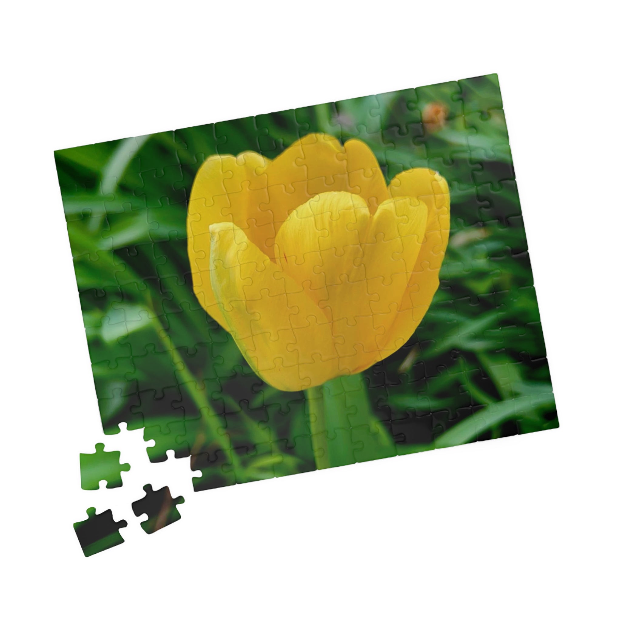 Yellow Tulip Jigsaw Puzzle
