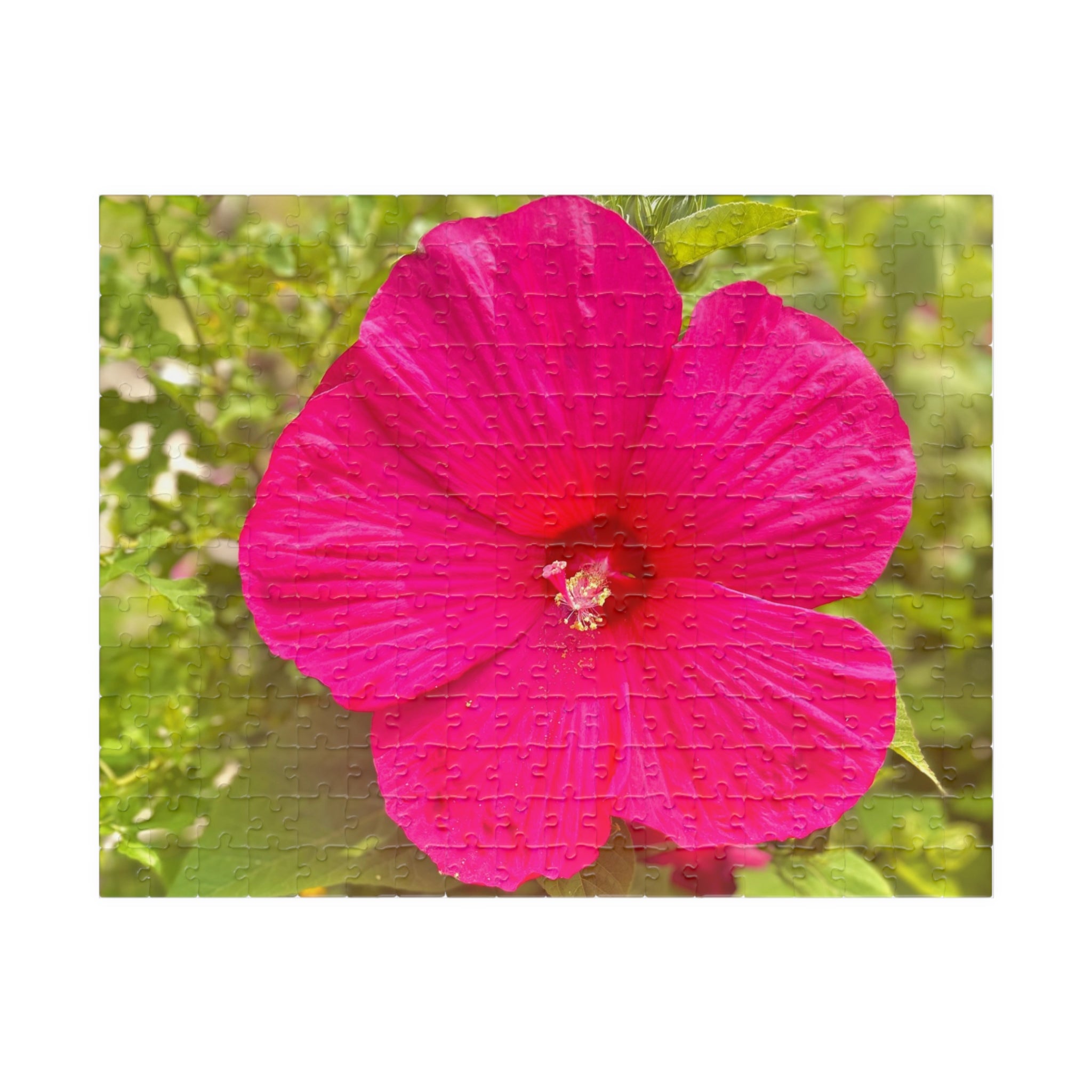 Hot Pink Hibiscus Jigsaw Puzzle