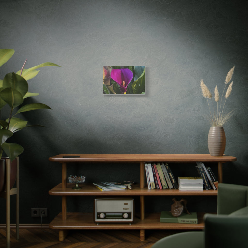 Purple Calla Lily Canvas Print