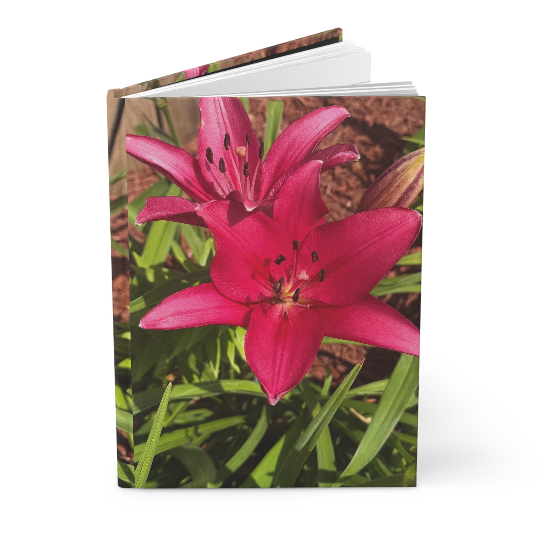 Pink Asiatic Lily Hardcover Journal