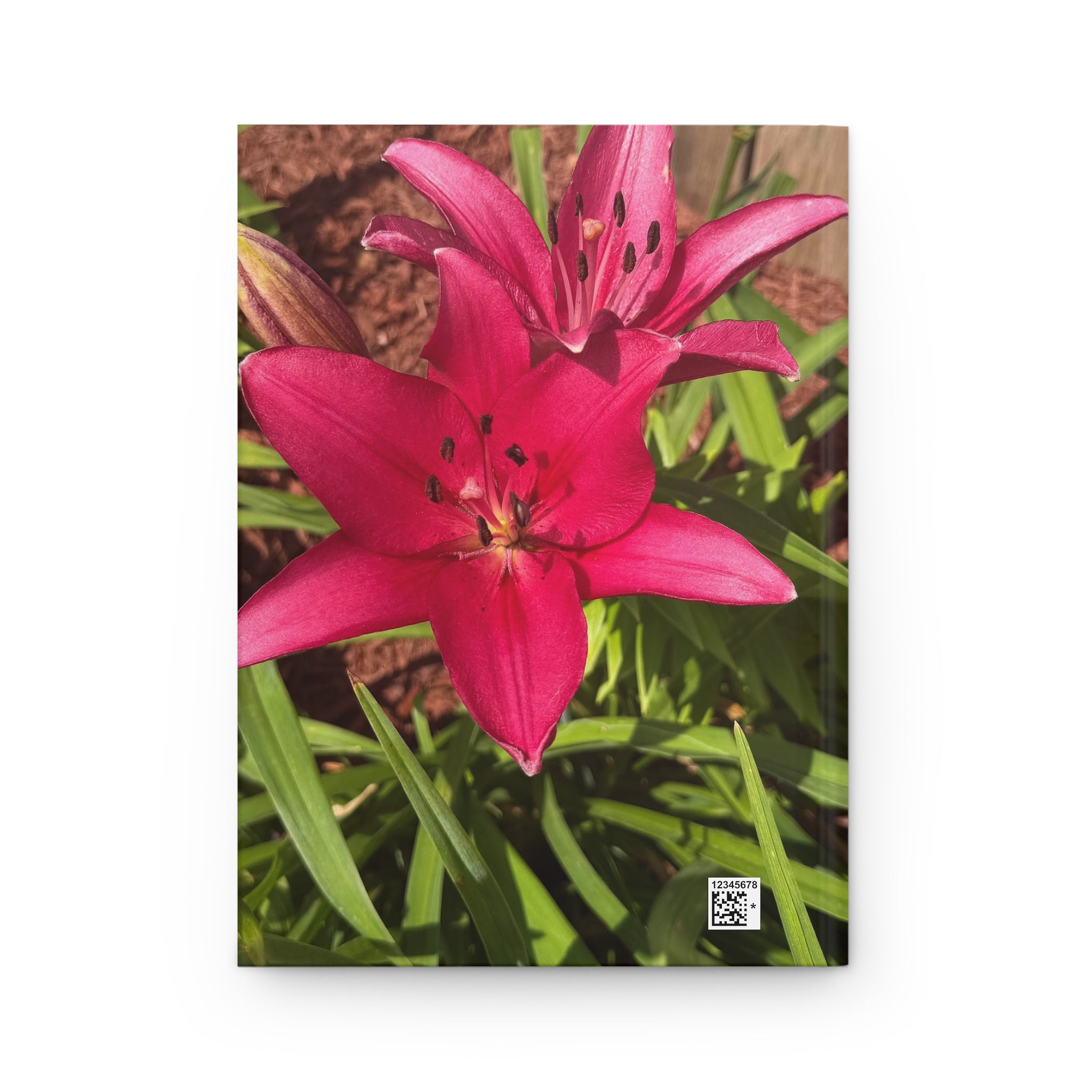 Pink Asiatic Lily Hardcover Journal