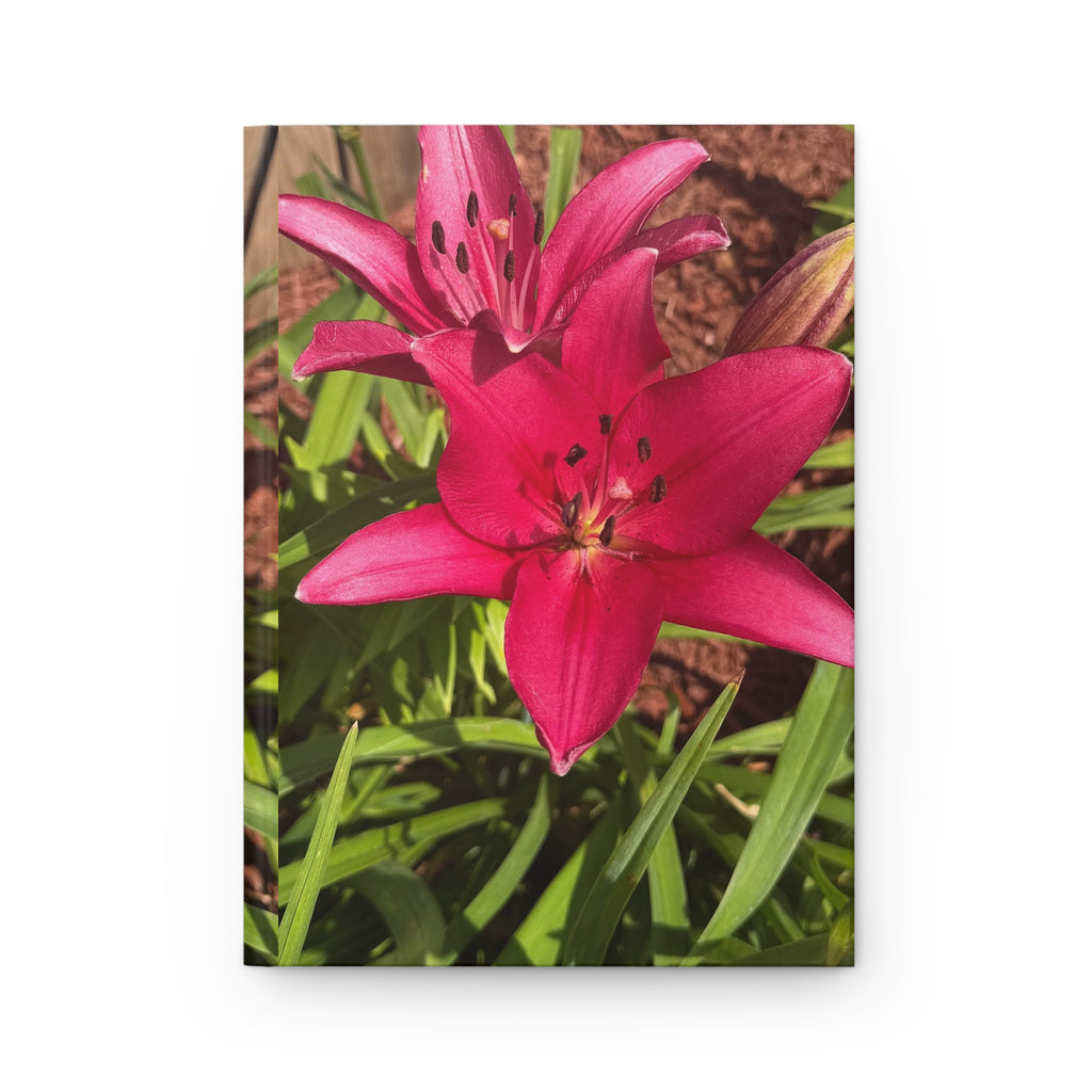Pink Asiatic Lily Hardcover Journal
