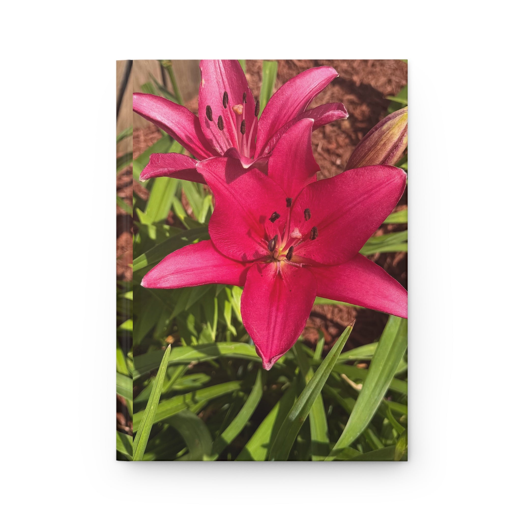 Pink Asiatic Lily Hardcover Journal